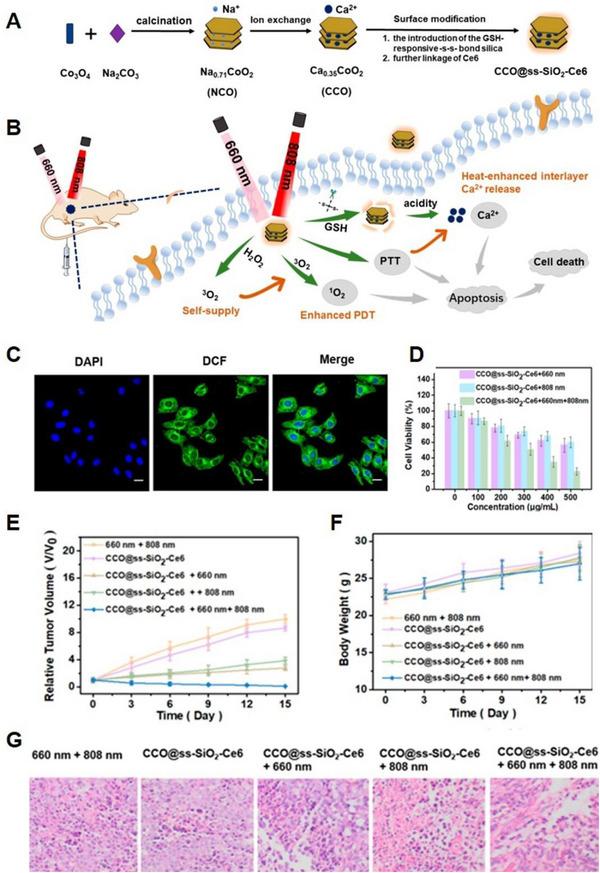 https://cdn.ncbi.nlm.nih.gov/pmc/blobs/0649/10867402/f429a2576106/EXP2-4-20230019-g025.jpg