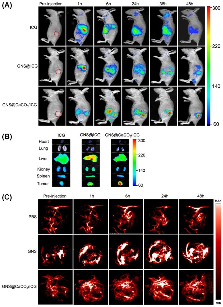 https://cdn.ncbi.nlm.nih.gov/pmc/blobs/064b/5436518/dd629f80bb09/thnov07p1650g005.jpg