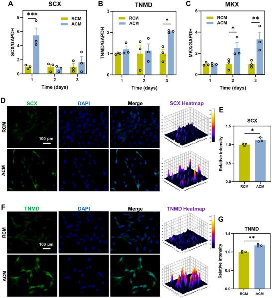 https://cdn.ncbi.nlm.nih.gov/pmc/blobs/064c/12079404/009439242fdf/ADVS-12-2417447-g007.jpg