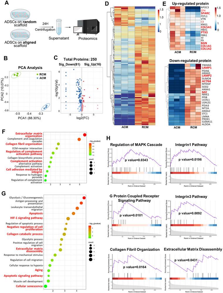 https://cdn.ncbi.nlm.nih.gov/pmc/blobs/064c/12079404/50ea6e396741/ADVS-12-2417447-g004.jpg