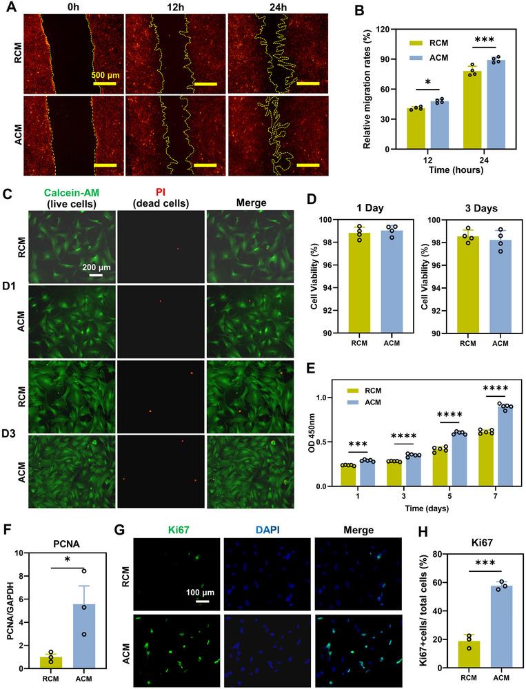 https://cdn.ncbi.nlm.nih.gov/pmc/blobs/064c/12079404/9d4ea5ccc04c/ADVS-12-2417447-g002.jpg