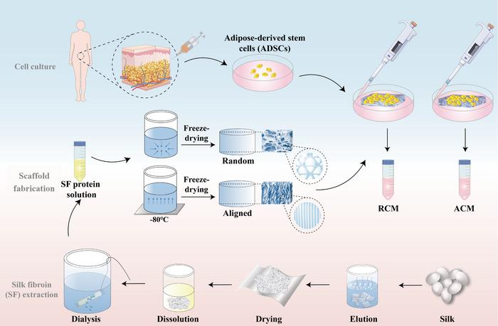 https://cdn.ncbi.nlm.nih.gov/pmc/blobs/064c/12079404/eef46a13bf0b/ADVS-12-2417447-g012.jpg