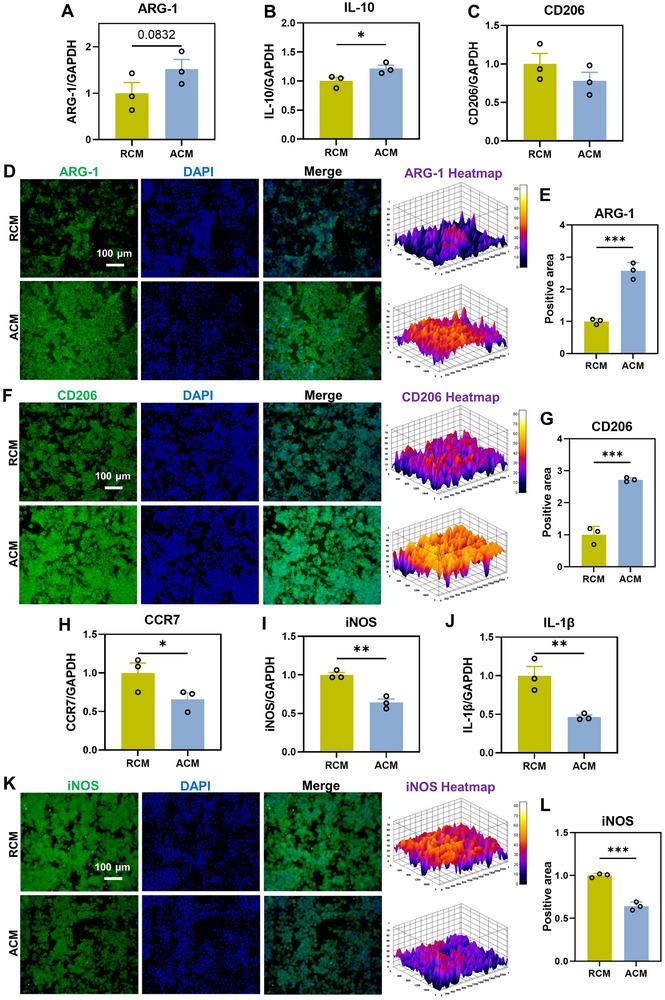 https://cdn.ncbi.nlm.nih.gov/pmc/blobs/064c/12079404/f233569e830e/ADVS-12-2417447-g006.jpg