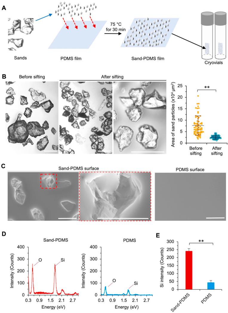 https://cdn.ncbi.nlm.nih.gov/pmc/blobs/064d/8111032/30e1cfc8efc5/gr1.jpg