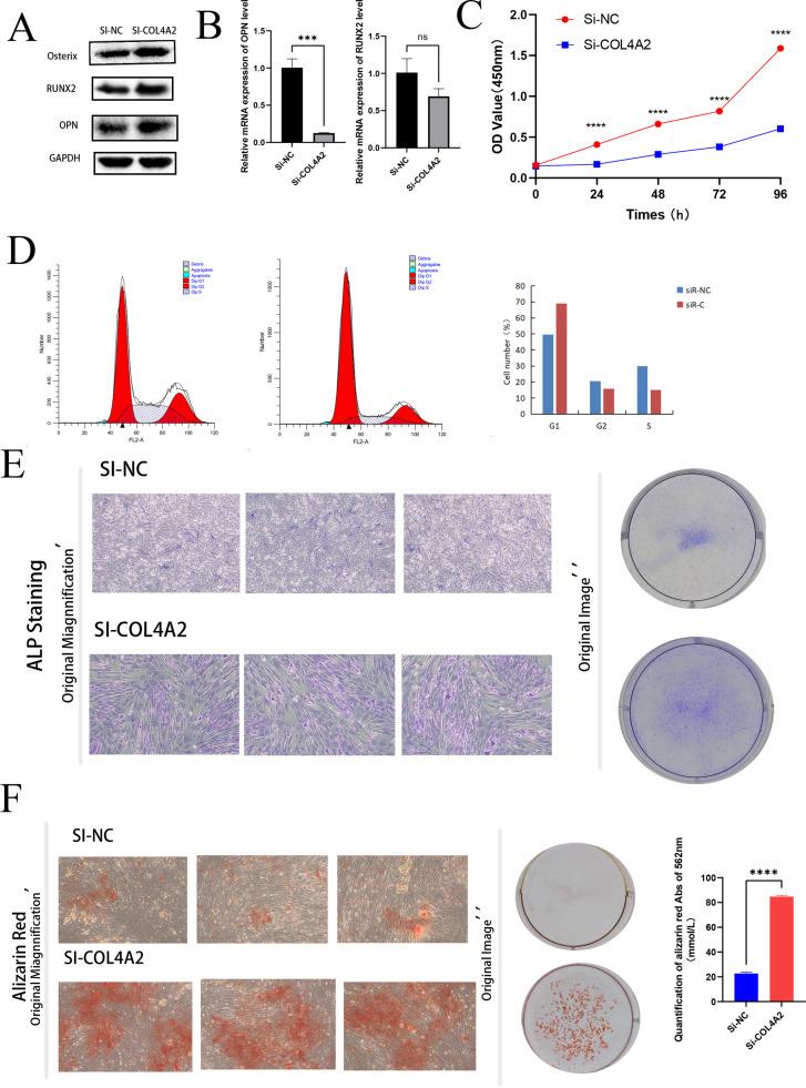 https://cdn.ncbi.nlm.nih.gov/pmc/blobs/064f/12040157/131b5e452290/pone.0322326.g012.jpg