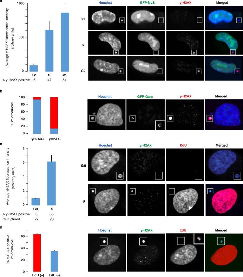 https://cdn.ncbi.nlm.nih.gov/pmc/blobs/064f/4742237/07a7b4afb8aa/nihms-683291-f0006.jpg