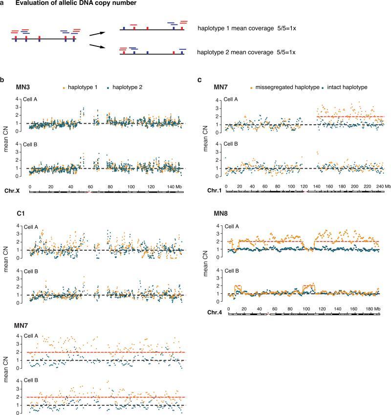 https://cdn.ncbi.nlm.nih.gov/pmc/blobs/064f/4742237/3643cf674cad/nihms-683291-f0008.jpg