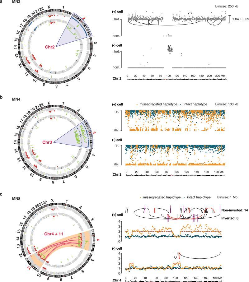 https://cdn.ncbi.nlm.nih.gov/pmc/blobs/064f/4742237/4be6a8d2e94d/nihms-683291-f0013.jpg