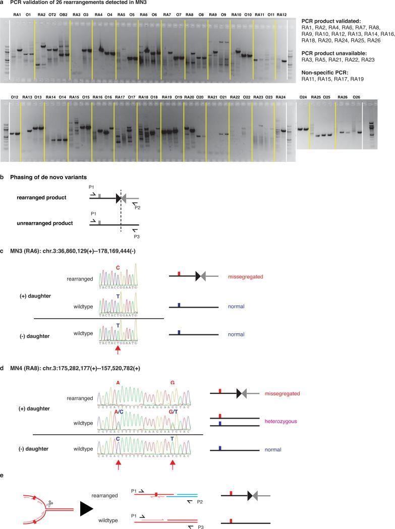 https://cdn.ncbi.nlm.nih.gov/pmc/blobs/064f/4742237/628f4fbb032d/nihms-683291-f0011.jpg