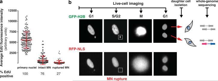 https://cdn.ncbi.nlm.nih.gov/pmc/blobs/064f/4742237/79c220fc6d2a/nihms-683291-f0001.jpg