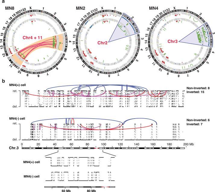 https://cdn.ncbi.nlm.nih.gov/pmc/blobs/064f/4742237/b6bf9fd92480/nihms-683291-f0004.jpg
