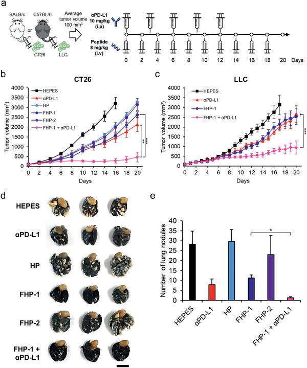 https://cdn.ncbi.nlm.nih.gov/pmc/blobs/064f/8025002/0cdac03da573/ADVS-8-2001308-g007.jpg