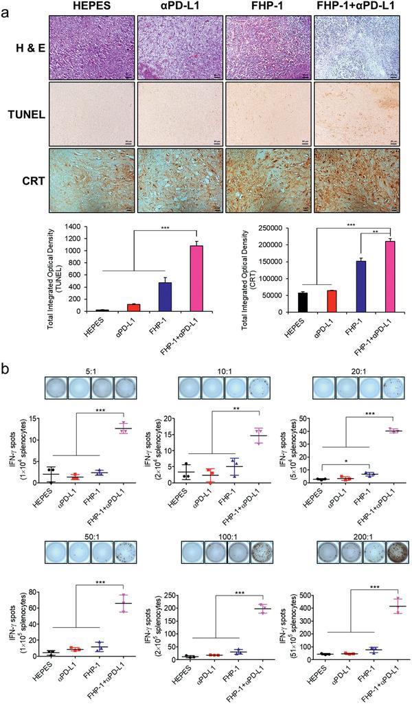 https://cdn.ncbi.nlm.nih.gov/pmc/blobs/064f/8025002/e7d331bb1282/ADVS-8-2001308-g005.jpg