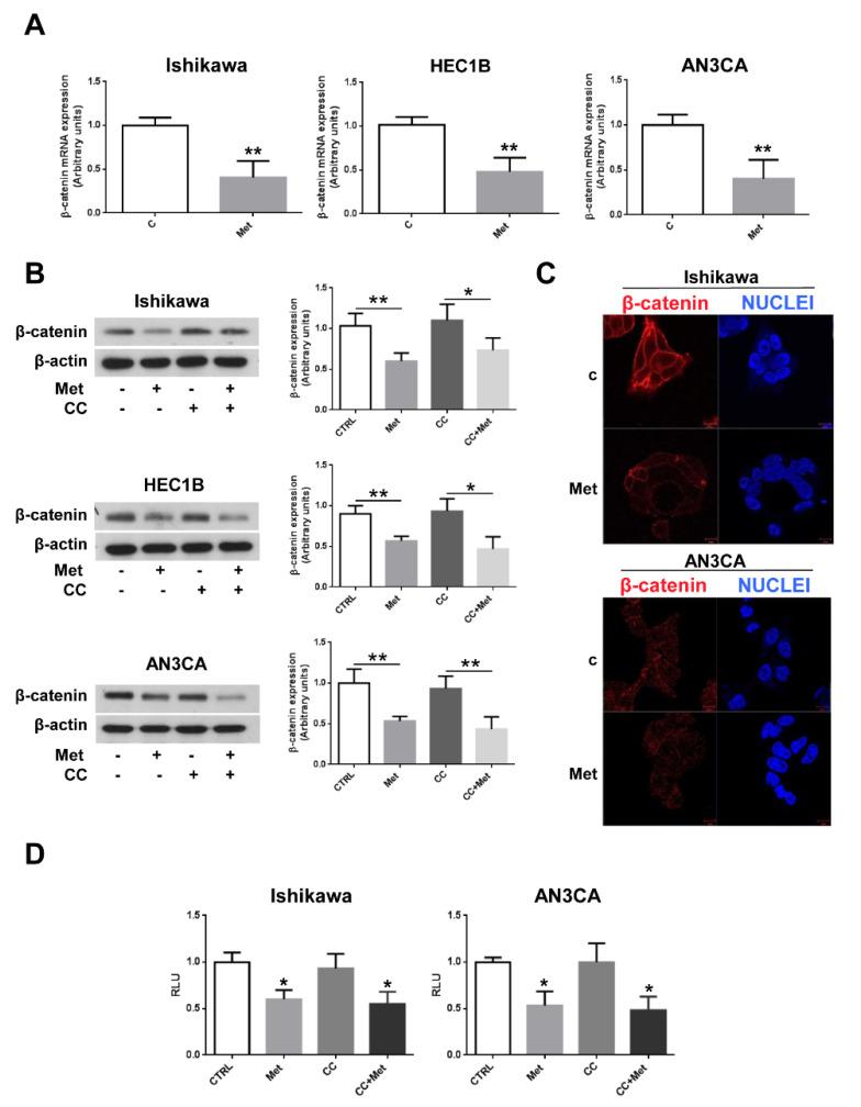 https://cdn.ncbi.nlm.nih.gov/pmc/blobs/0650/8147131/3e104c654bb8/cells-10-01067-g005.jpg
