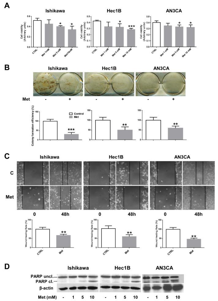 https://cdn.ncbi.nlm.nih.gov/pmc/blobs/0650/8147131/cf7fb3c0975d/cells-10-01067-g001.jpg