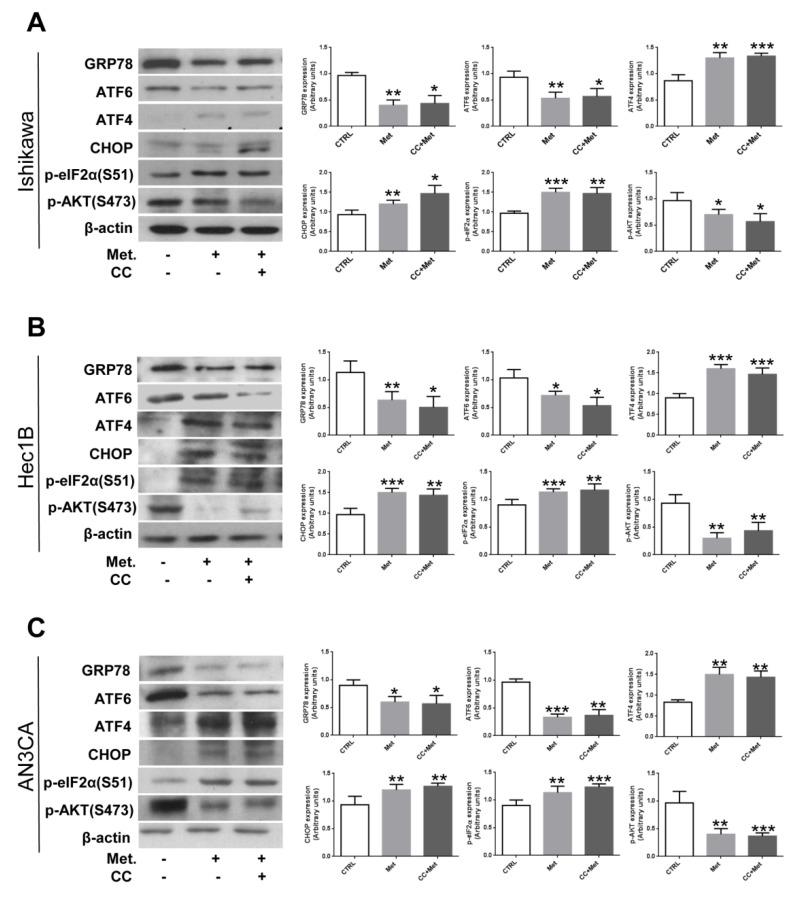 https://cdn.ncbi.nlm.nih.gov/pmc/blobs/0650/8147131/d513be3fb7ab/cells-10-01067-g004.jpg
