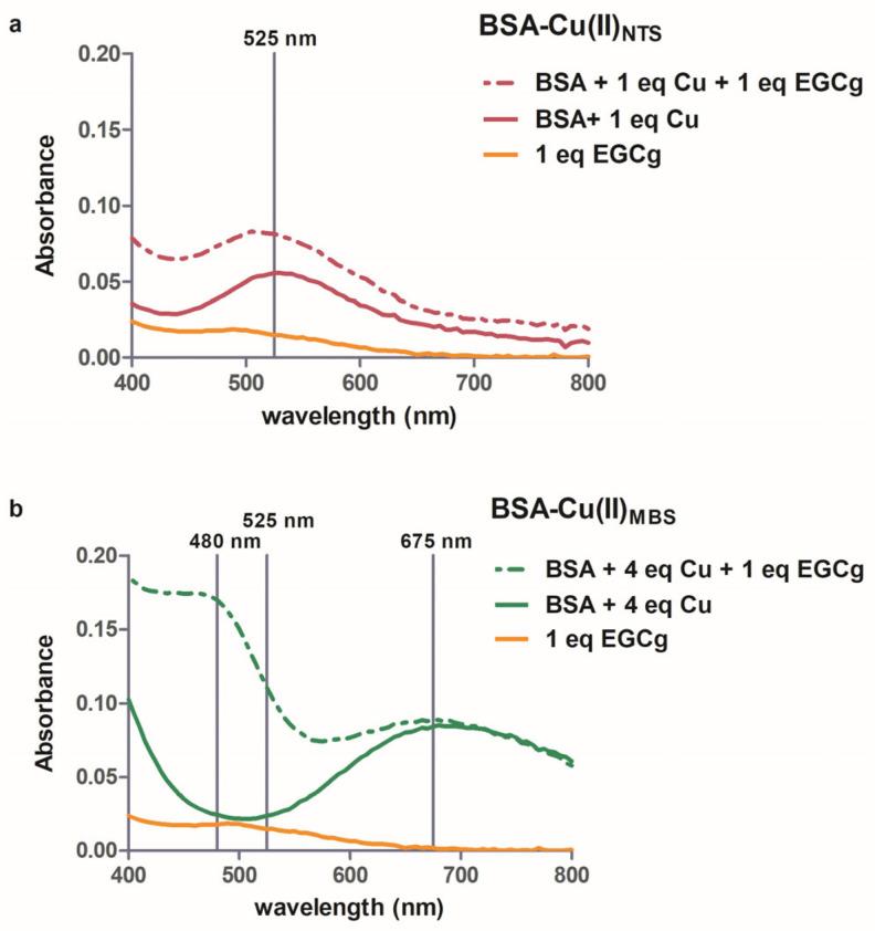 https://cdn.ncbi.nlm.nih.gov/pmc/blobs/0651/11767587/d8aef64a7f36/molecules-30-00320-g002.jpg
