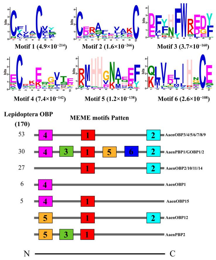 https://cdn.ncbi.nlm.nih.gov/pmc/blobs/0652/11642448/71bca20ae0eb/ijms-25-13125-g003.jpg