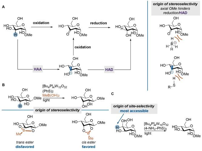 https://cdn.ncbi.nlm.nih.gov/pmc/blobs/0653/9552177/190679e6af2b/cs2c03876_0001.jpg