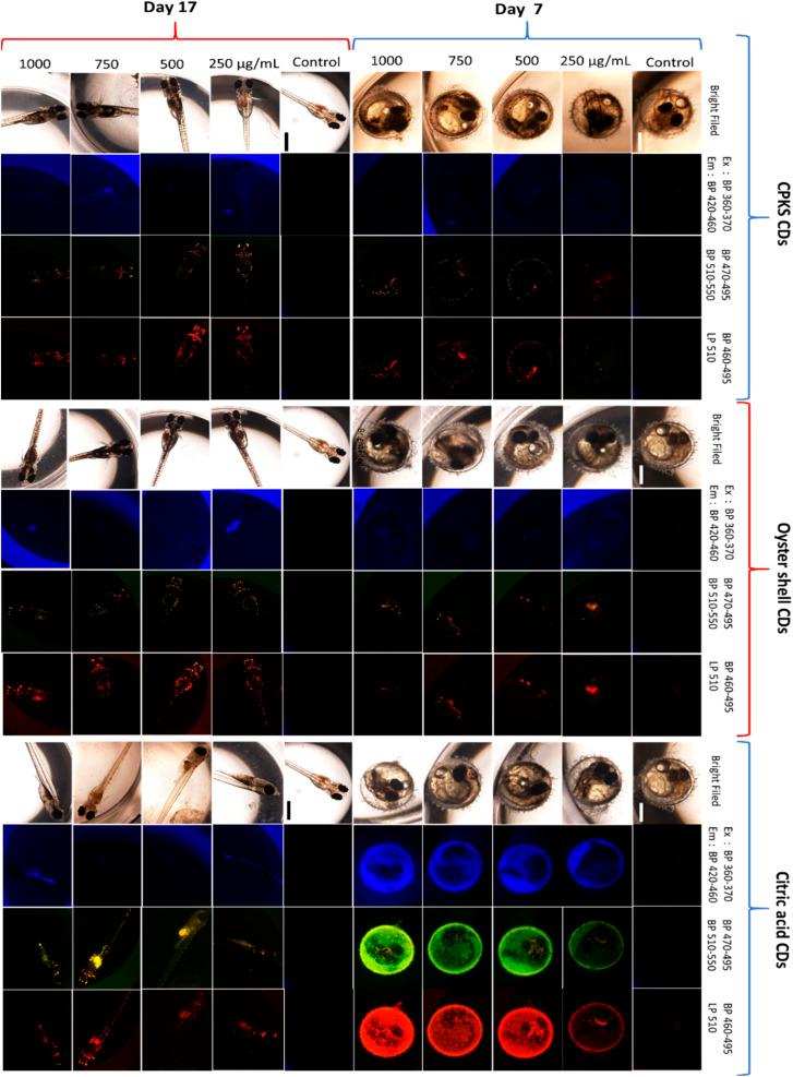 https://cdn.ncbi.nlm.nih.gov/pmc/blobs/0655/10518661/34e58a6893f2/d3ra05840a-f16.jpg