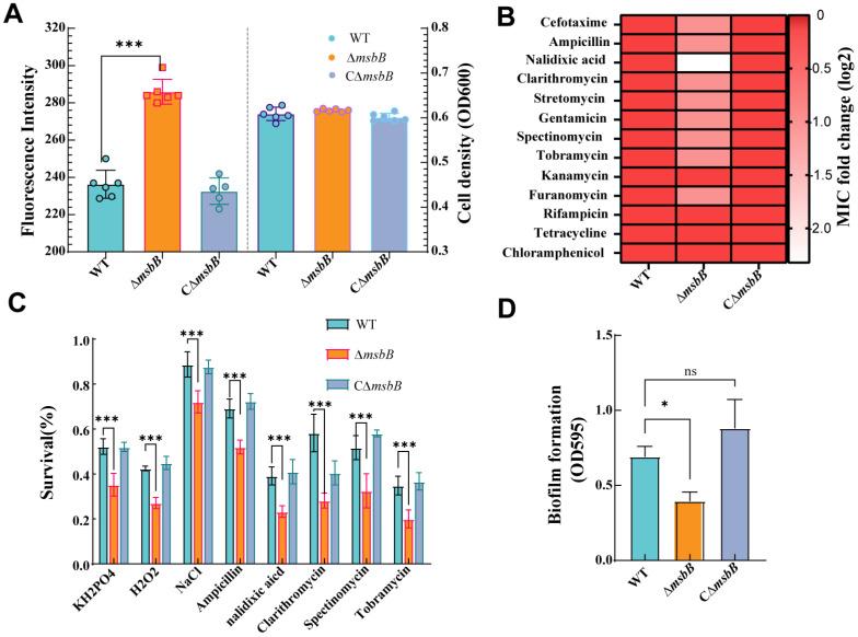 https://cdn.ncbi.nlm.nih.gov/pmc/blobs/0655/11857884/9b54fb02f0ee/microorganisms-13-00386-g002.jpg