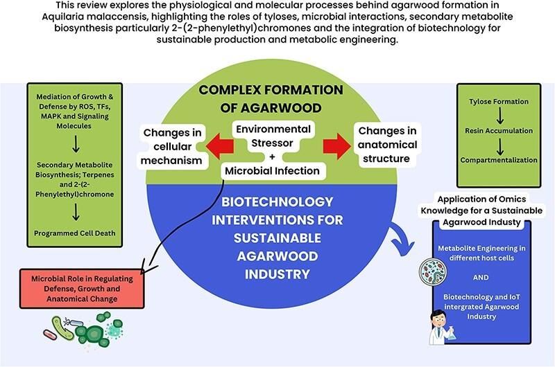 https://cdn.ncbi.nlm.nih.gov/pmc/blobs/0655/12375897/bfa123fa9b48/kuaf025fig1g.jpg