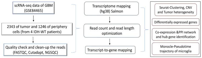 https://cdn.ncbi.nlm.nih.gov/pmc/blobs/0655/8955282/444153e1c865/genes-13-00428-g001.jpg