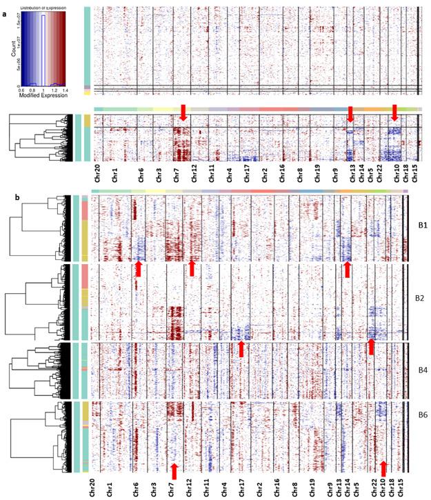 https://cdn.ncbi.nlm.nih.gov/pmc/blobs/0655/8955282/562d9723ffb9/genes-13-00428-g005.jpg
