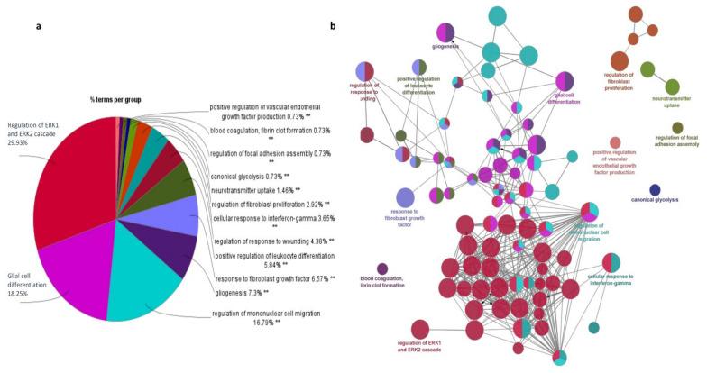 https://cdn.ncbi.nlm.nih.gov/pmc/blobs/0655/8955282/a1e9439493f6/genes-13-00428-g006.jpg