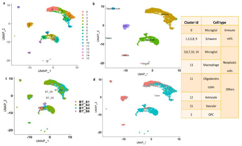 https://cdn.ncbi.nlm.nih.gov/pmc/blobs/0655/8955282/cb973f21e1a6/genes-13-00428-g002.jpg