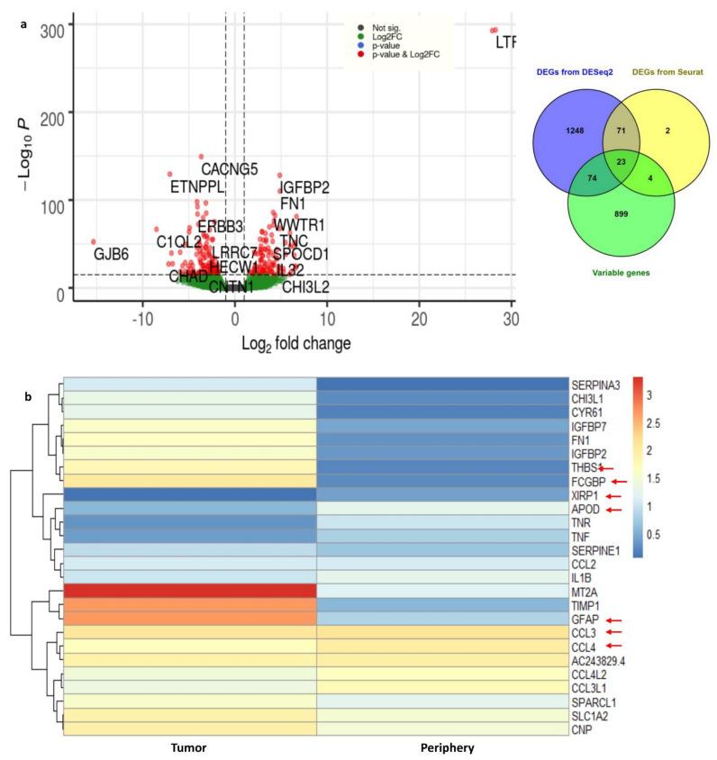 https://cdn.ncbi.nlm.nih.gov/pmc/blobs/0655/8955282/ccef5cc9ee8a/genes-13-00428-g004.jpg