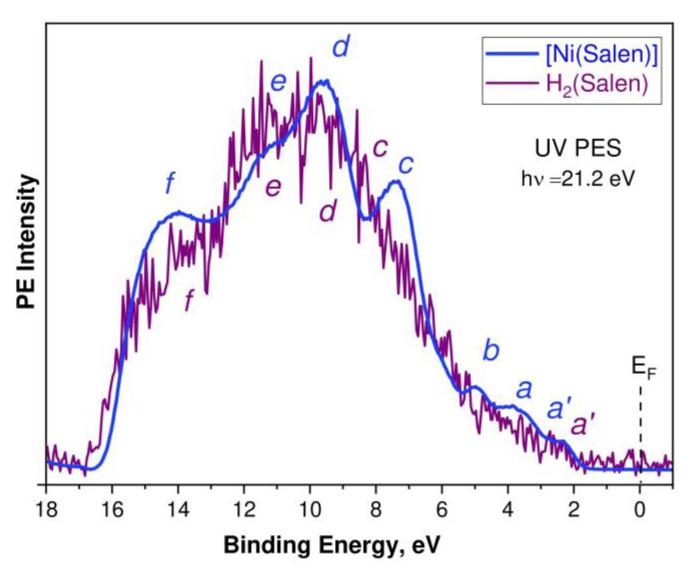 https://cdn.ncbi.nlm.nih.gov/pmc/blobs/065b/10298361/2301549e5aba/ijms-24-09868-g004.jpg