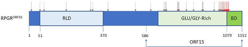 https://cdn.ncbi.nlm.nih.gov/pmc/blobs/065c/10501488/9bb5c1ede998/iovs-64-12-19-f005.jpg