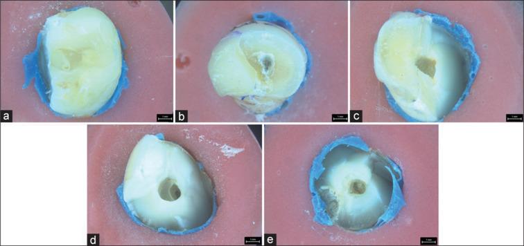 https://cdn.ncbi.nlm.nih.gov/pmc/blobs/065c/12129291/f4d3a52d67d4/JCDE-28-431-g005.jpg
