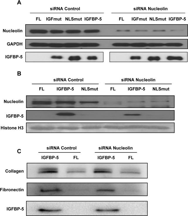 https://cdn.ncbi.nlm.nih.gov/pmc/blobs/065d/4478026/8a455302e57c/pone.0130546.g005.jpg