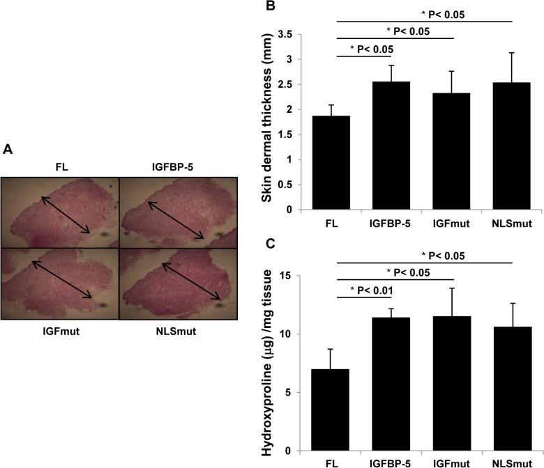 https://cdn.ncbi.nlm.nih.gov/pmc/blobs/065d/4478026/d6c38683d196/pone.0130546.g003.jpg