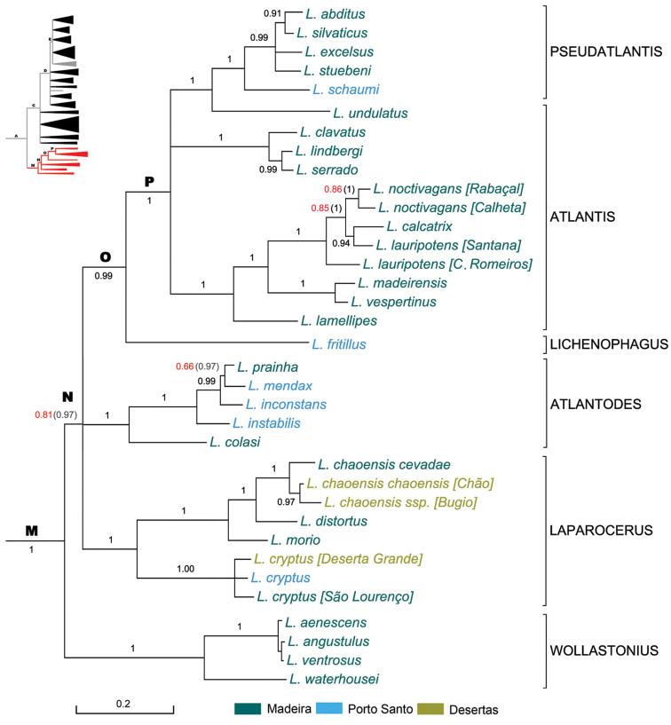 https://cdn.ncbi.nlm.nih.gov/pmc/blobs/065d/5345357/cb7faf409607/zookeys-651-001-g004.jpg