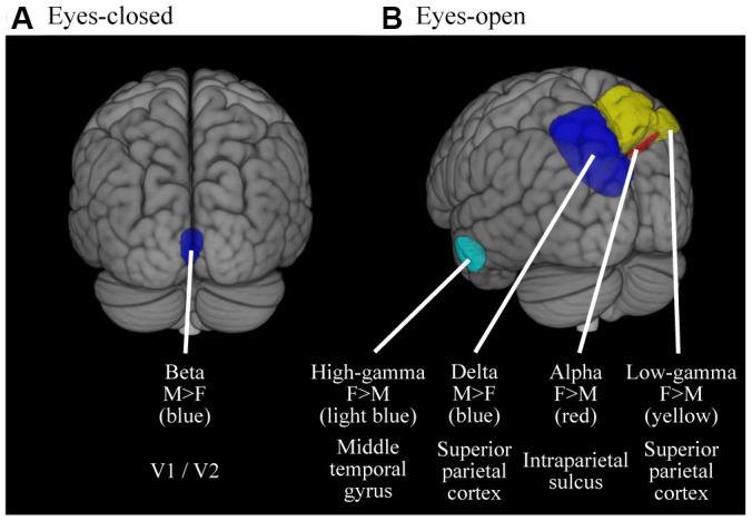 https://cdn.ncbi.nlm.nih.gov/pmc/blobs/065d/7695396/40593cb94653/aging-12-103956-g004.jpg