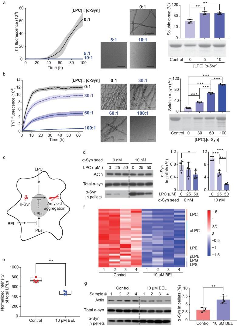 https://cdn.ncbi.nlm.nih.gov/pmc/blobs/0660/11221426/2404e0c045fa/nwae182fig5.jpg