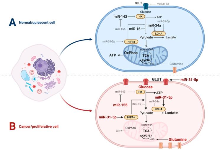 https://cdn.ncbi.nlm.nih.gov/pmc/blobs/0660/8872267/cb7848cdd151/genes-13-00273-g001.jpg