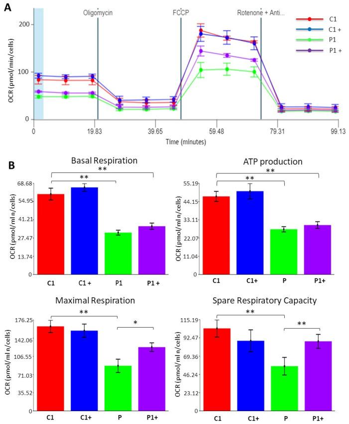 https://cdn.ncbi.nlm.nih.gov/pmc/blobs/0661/9778406/0c9f0b7f3a8c/genes-13-02300-g006.jpg
