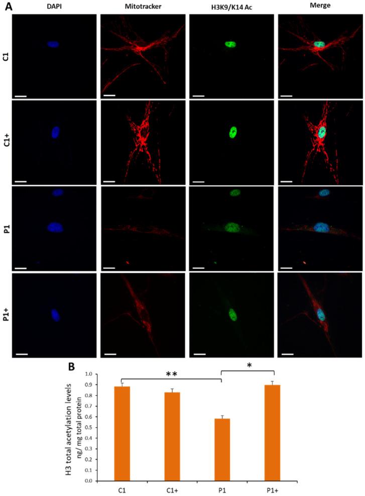 https://cdn.ncbi.nlm.nih.gov/pmc/blobs/0661/9778406/c887a50d8463/genes-13-02300-g004.jpg