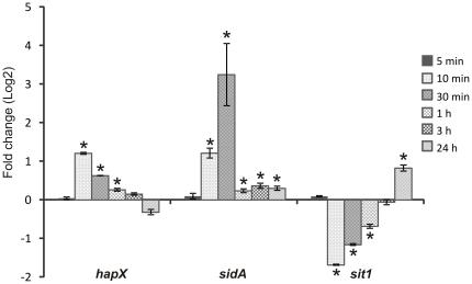 https://cdn.ncbi.nlm.nih.gov/pmc/blobs/0663/3145762/3ebf204b79ab/pone.0022810.g002.jpg