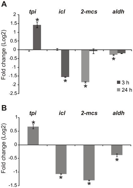 https://cdn.ncbi.nlm.nih.gov/pmc/blobs/0663/3145762/759563ce59d5/pone.0022810.g007.jpg