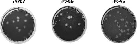 https://cdn.ncbi.nlm.nih.gov/pmc/blobs/0665/4574091/d7684428a559/12985_2015_375_Fig3_HTML.jpg