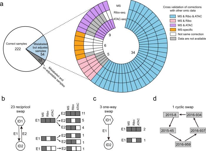 https://cdn.ncbi.nlm.nih.gov/pmc/blobs/0665/8825821/8351fed1af03/41467_2022_28411_Fig4_HTML.jpg
