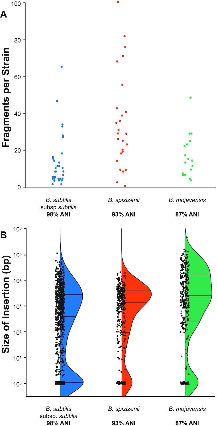 https://cdn.ncbi.nlm.nih.gov/pmc/blobs/0665/9226520/01aa66dcd191/gkac025fig5.jpg