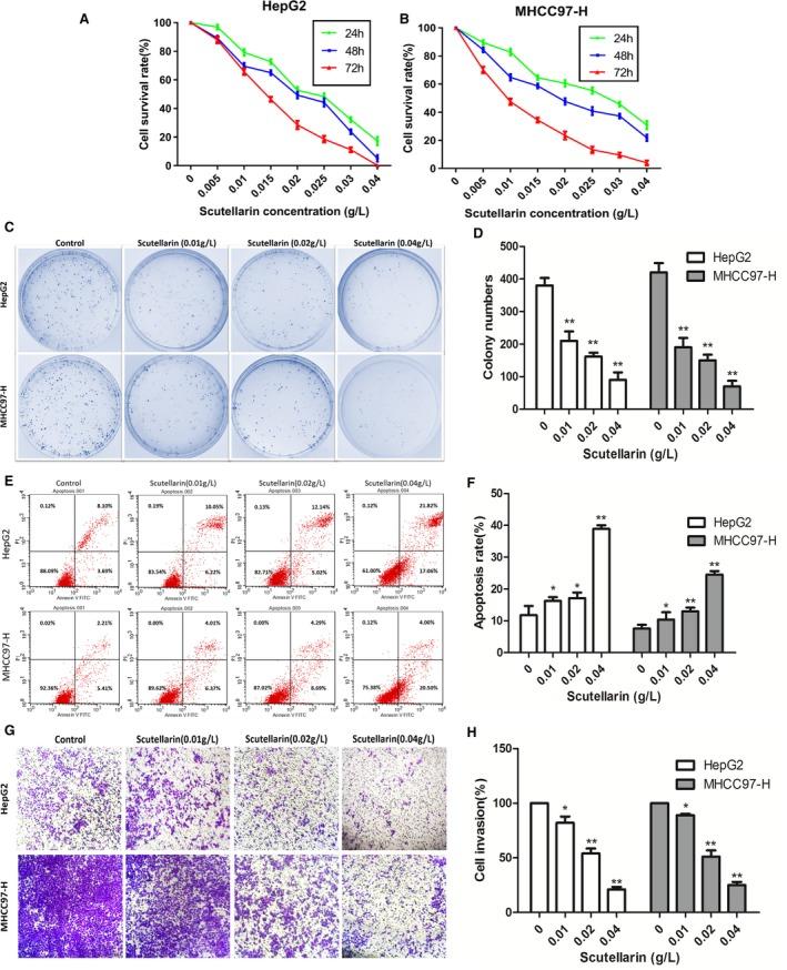 https://cdn.ncbi.nlm.nih.gov/pmc/blobs/0666/6433857/3ed191584f8d/JCMM-23-3040-g001.jpg