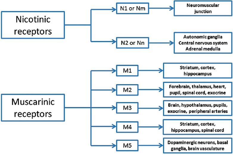 https://cdn.ncbi.nlm.nih.gov/pmc/blobs/0667/4238091/ab5d2d90a776/IJCCM-18-735-g007.jpg