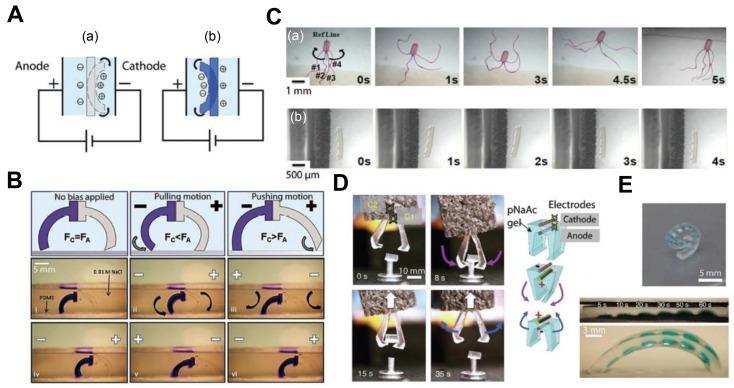 https://cdn.ncbi.nlm.nih.gov/pmc/blobs/0669/6352708/27e483c1a9c0/biomimetics-03-00015-g004.jpg